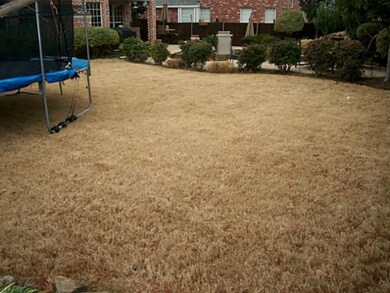 Huge back yard