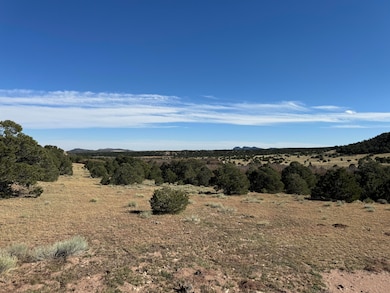 L41 Co Rd 531 Cl&g Unit Bb, Walsenburg, CO 81089 - photo 4