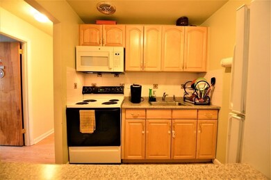 Hillview Condominium unit 450, West Roxbury, MA 02132 - photo 6