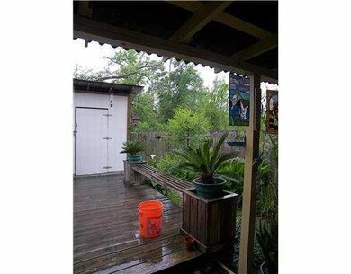 Backyard.
