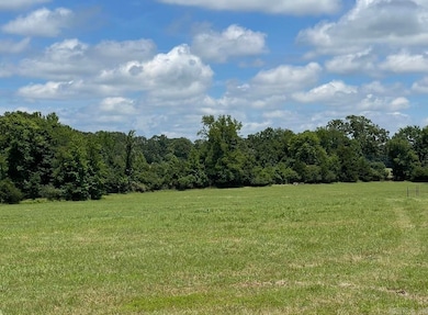 000 Orchard Rd, Greenbrier, AR 72058 - photo 4