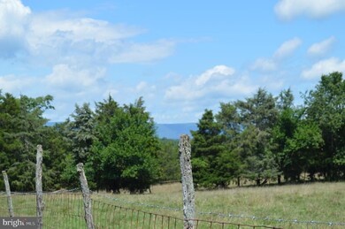 2143 Minebank Rd, Strasburg, VA 22657 - photo 3