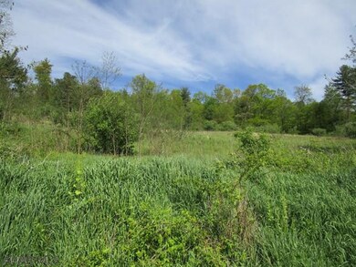 Off Imlertown Rd, Bedford Township, PA 15522 - photo 4