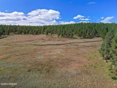 1A Forest Road 26 --, Alpine, AZ 85920 - photo 6
