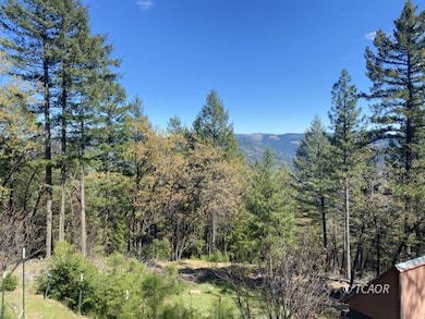 351 Upper Moore Gulch, Trinity Center, CA 96091 - photo 2