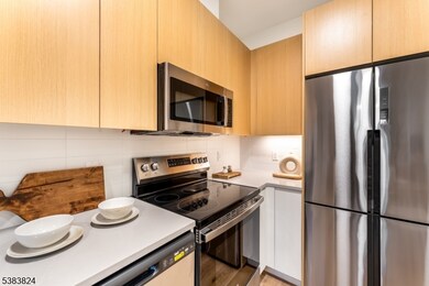 431 Doctor Martin Luther King Junior Blvd unit 608, East Orange, NJ 07018 - photo 6