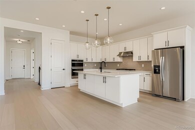 482 Basin Daisy St, Castle Rock, CO 80104 - photo 7