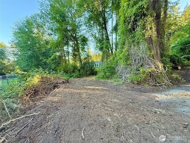 0 Lot 2 Enchanted Forest Rd, Orcas Island, WA 98245 - photo 3