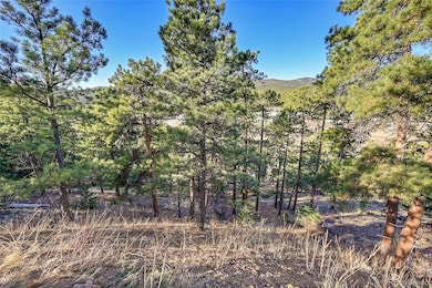 27292 Ridge Trail, Conifer, CO 80433 - photo 5
