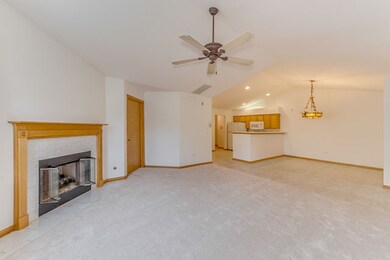 831 Havenshire Rd, Naperville, IL 60565 - photo 6