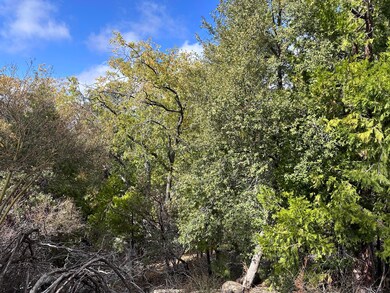 0 Round Robin Dr unit 219139116DA, Idyllwild, CA 92549 - photo 2