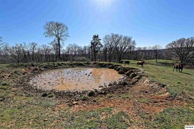 147 Frank Bend Ln, Rutledge, TN 37861 - photo 7