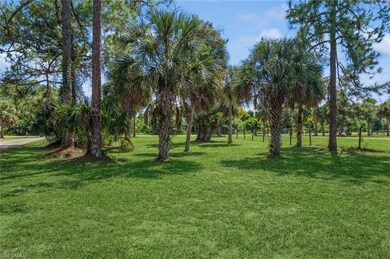 2341 18th Ave NE, Naples, FL 34120 - photo 2