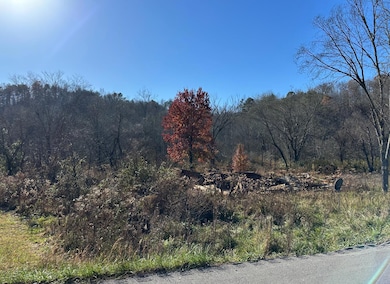 4491 Tyes Ferry Rd, Rockholds, KY 40759 - photo 3