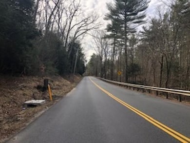 250 Brookfield Rd, Sturbridge, MA 01518 - photo 7