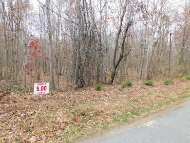 5 (P8) Brights Rd, Gretna, VA 24557 - photo 3