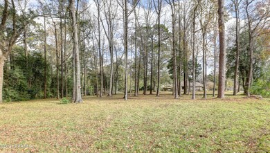 217 Leonpacher Road