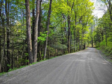 14 Brickyard Rd, Dover, VT 05341 - photo 7