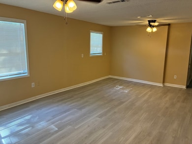 710 S Lena St, Dothan, AL 36301 - photo 4