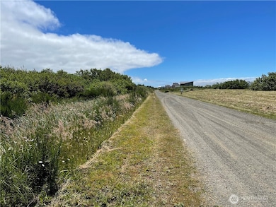 72 Dunes Ln, Ocean Shores, WA 98569 - photo 4