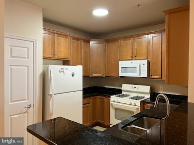 3840 Lightfoot St unit 240, Chantilly, VA 20151 - photo 4