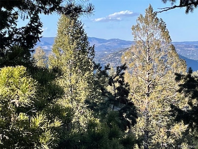 33131 Lynx Ln, Evergreen, CO 80439 - photo 2