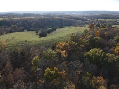 471 Morgan Hightower Rd, Pendletn Cnty, KY 41040 - photo 6