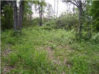 0 Hannon Rd unit 2 0501554, Mobile, AL 36605 - photo 7