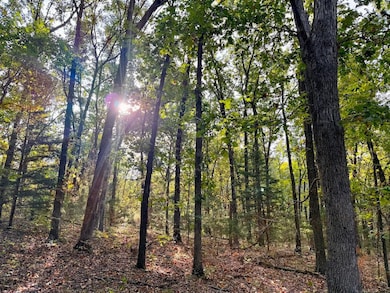 8994 Lawrence 1210, Mount Vernon, MO 65712 - photo 2