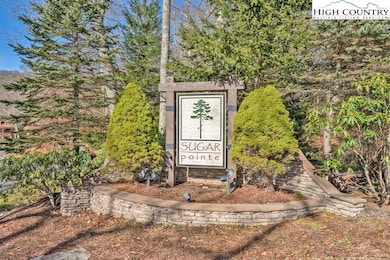 210 Cloud Spring Dr, Sugar Mountain, NC 28604 - photo 6