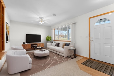 241 6th St SW, Pine Island, MN 55963 - photo 5