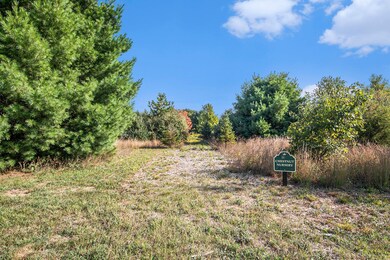 6788 120th Ave, Fennville, MI 49408 - photo 4