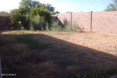 backyard2