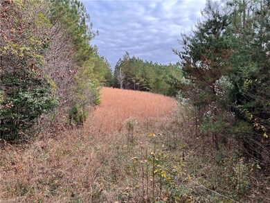 00 Graham Davis Rd, Denton, NC 27239 - photo 3