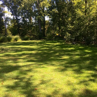 Rear yard