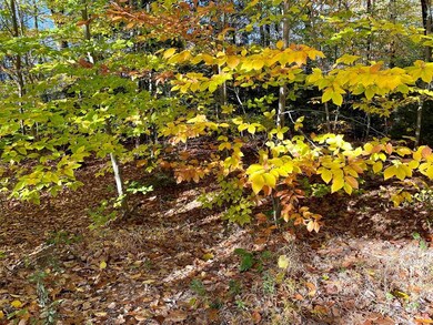 0 Emerald unit Map 16 Lot 169, Hillsborough, NH 03244 - photo 3