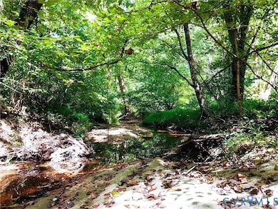 4460 Three Square Rd, Goochland, VA 23063 - photo 4