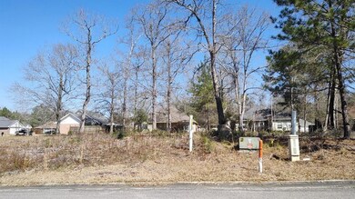 NHN Lot 49 Magenta Ln, Picayune, MS 39466 - photo 2