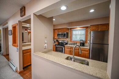 49 Greenspring Rd unit 49B, Dover, VT 05356 - photo 6