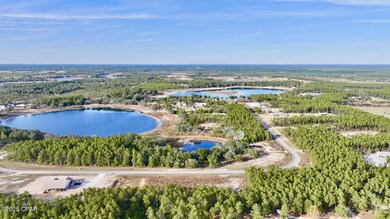 14744 Bream Pond Rd, Panama City, FL 32409 - photo 5