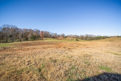 33.58 AC E Bethlehem Rd, Sparta, TN 38583 - photo 7
