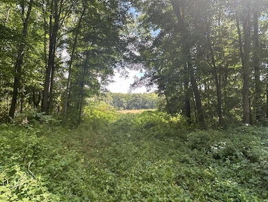 0 V/L Michigan 66, Athens, MI 49011 - photo 3