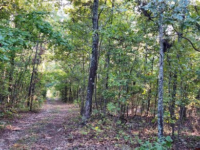 1071 Pleasant Run Rd, Mammoth Spring, AR 72554 - photo 3