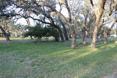 25811 Fleet Gardens, San Antonio, TX 78255 - photo 6