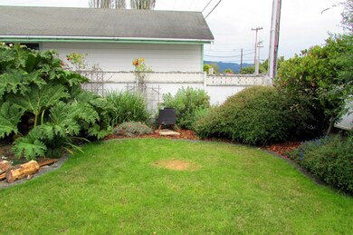 back yard