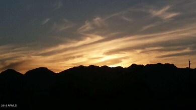 Sotol sunset