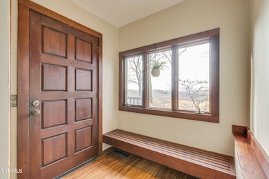 690 Buttermilk Rd, Blountville, TN 37617 - photo 6