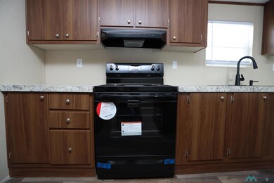 4213 Mimosa St, Carlsbad, NM 88220 - photo 5