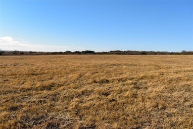 120 Gibson Bend, Weatherford, TX 76087 - photo 3