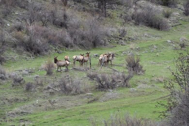 54 W Magpie Creek Rd, Dixon, MT 59831 - photo 6